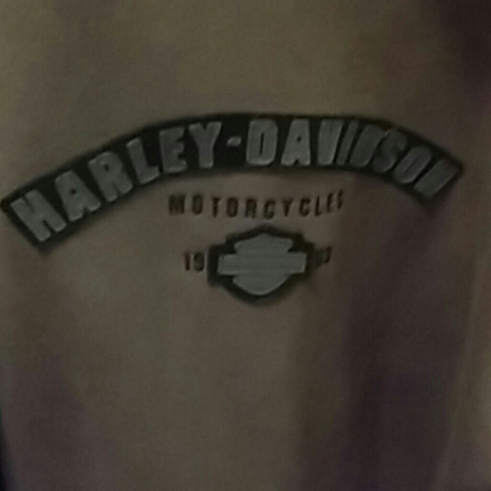 Mens Harley Hoodie Zip up